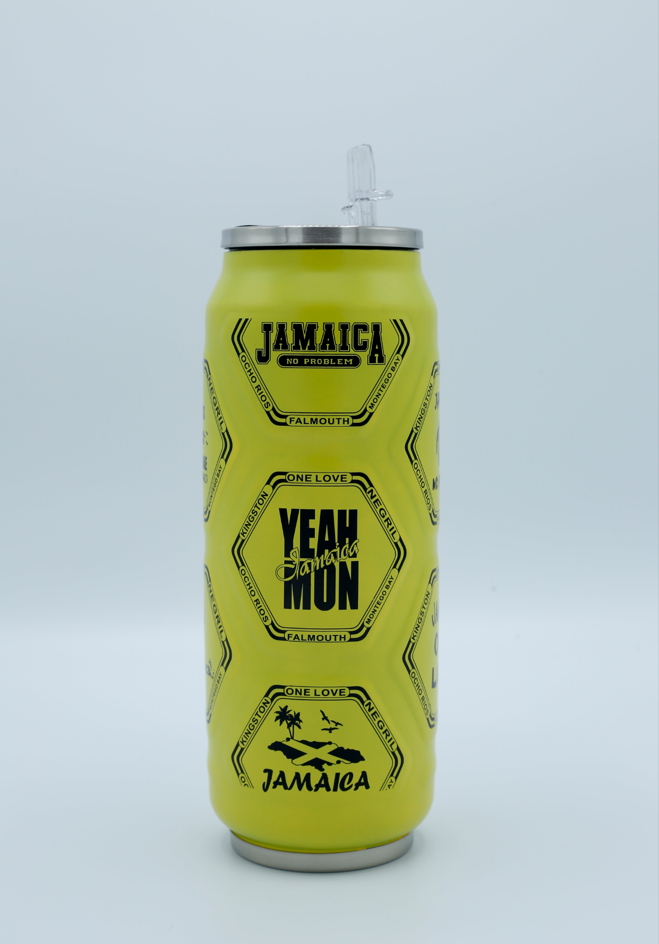Flask Can Water Bottle