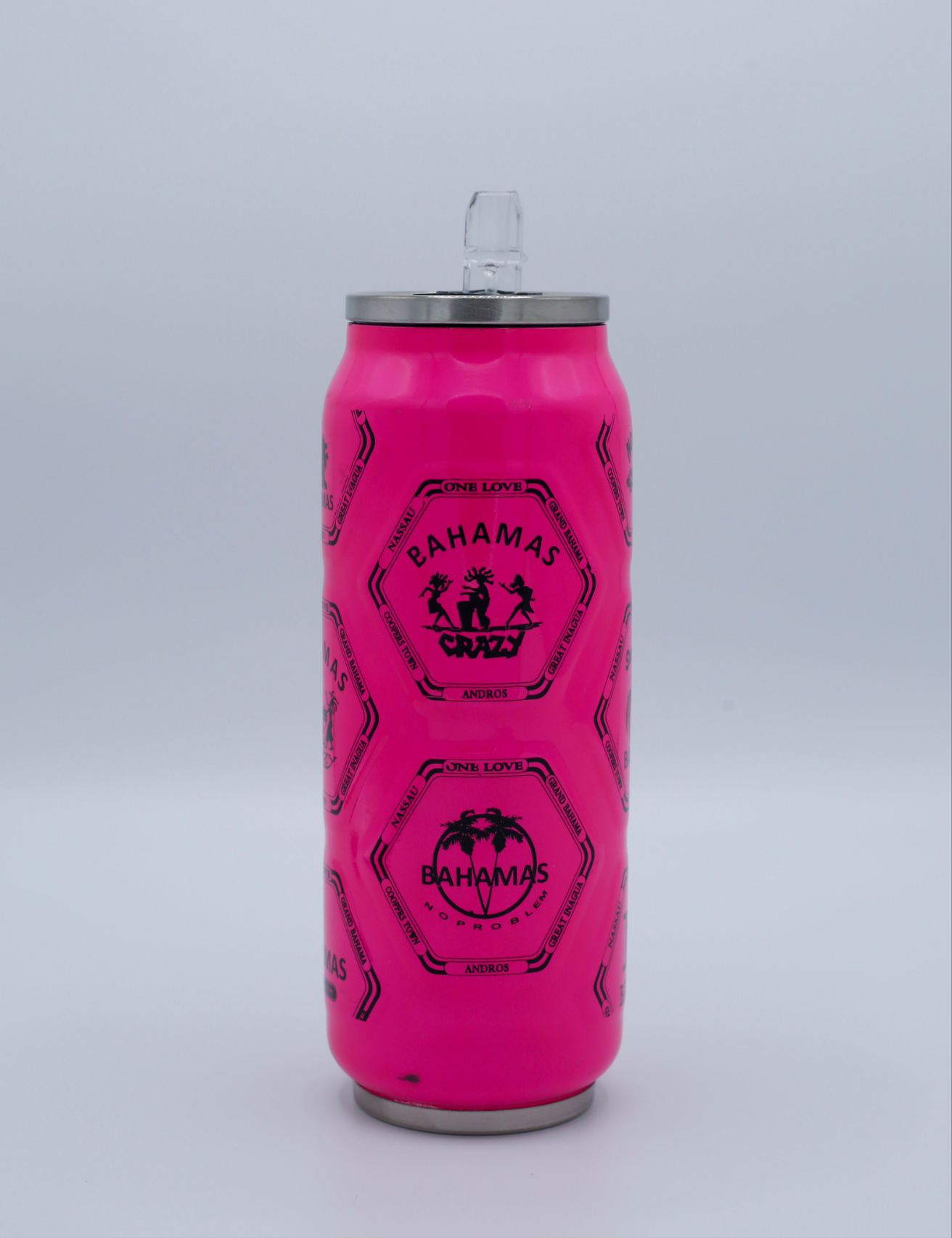 Flask Can Water Bottle